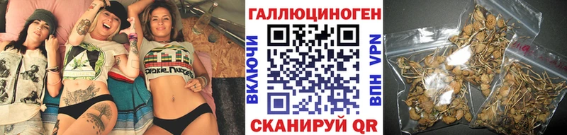 Купить закладки  Цоци-Юрт  Псилоцибиновые грибы Psilocybine cubensis 
